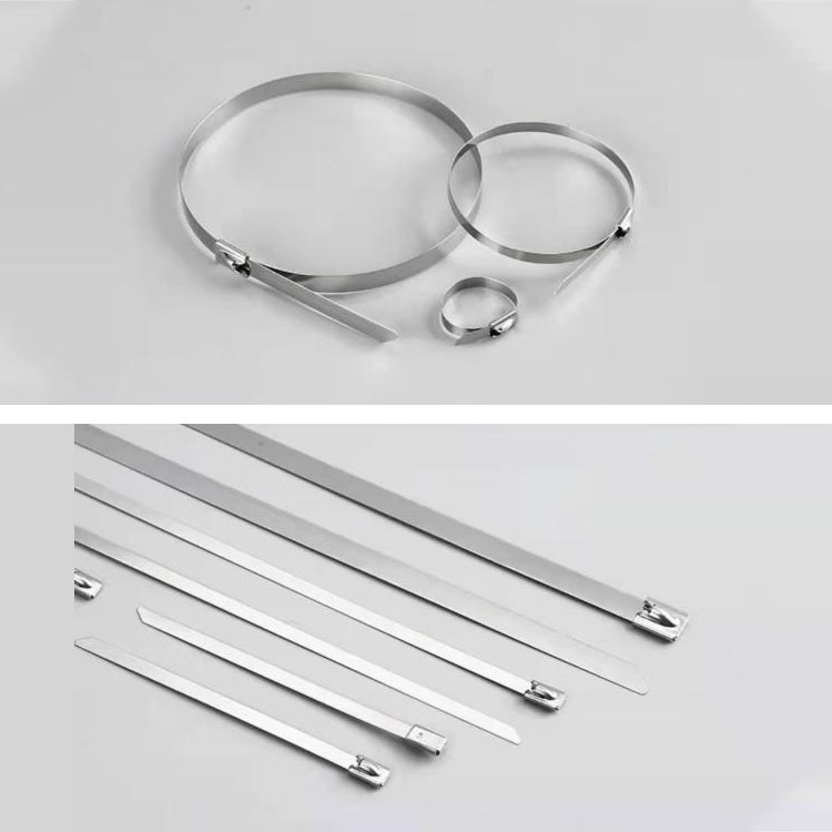 Precision Stainless Steel Strip