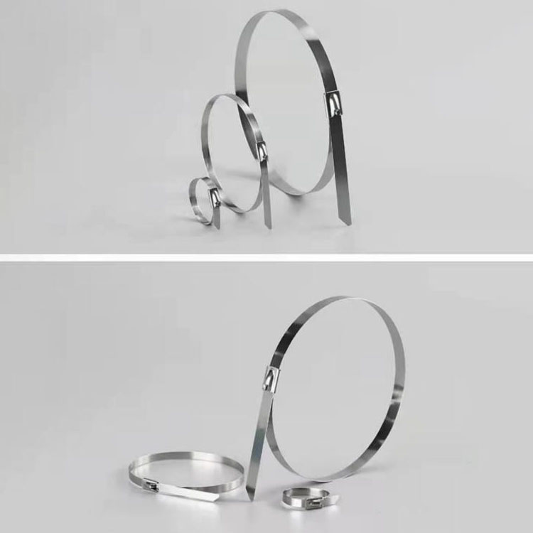 Precision Stainless Steel Strip